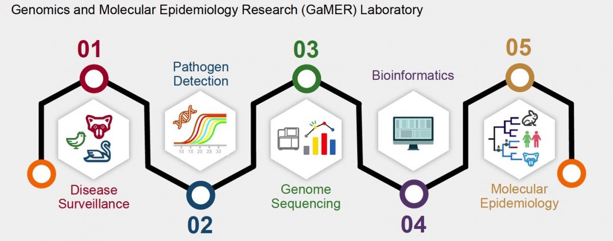 Lucy Y Liu, Park Lab, Computational Genomics